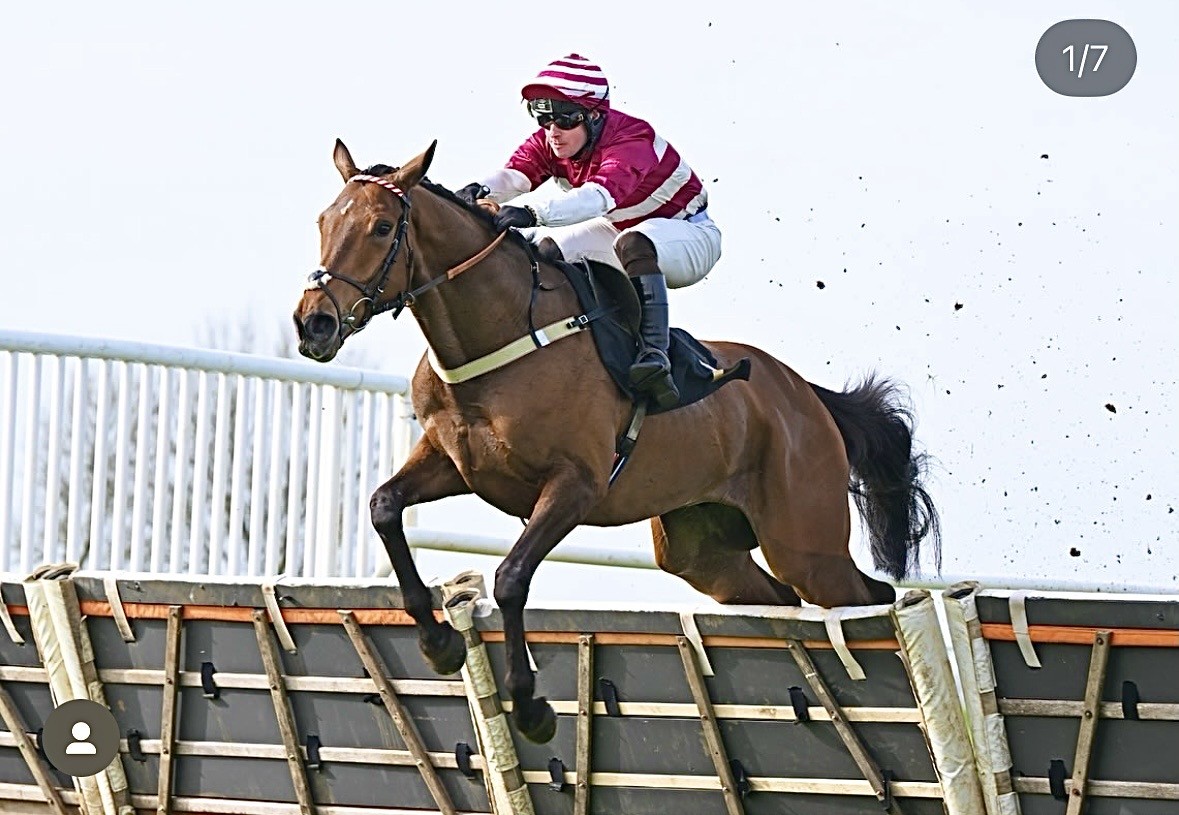 Crossgales King